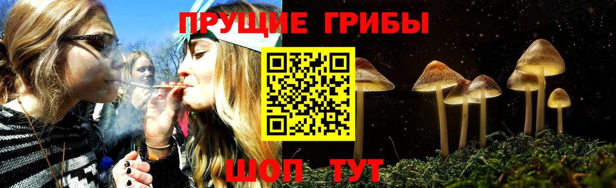 Псилоцибиновые грибы прущие грибы Златоуст